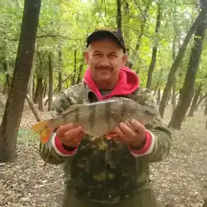 Камышовый Рай - 73