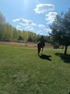 Конный Двор в Пржевальском - 57