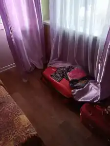 Золотая рыбка - 19