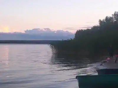 Сосновые дома - 47