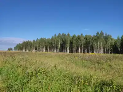 ПолеДом - 86