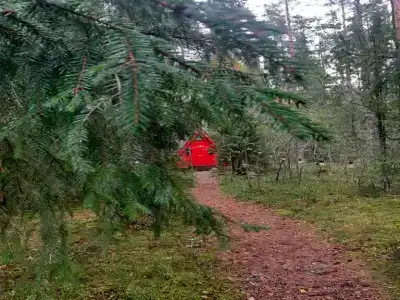 Глэмпинг Shanti Home - 21