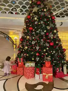 CVK Park Bosphorus Istanbul - 52