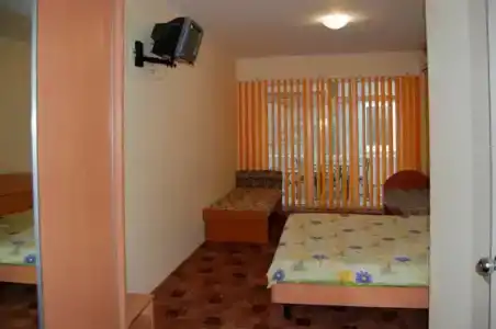 Дельфин - 1