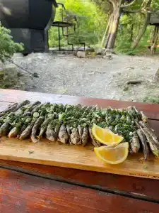 Можжевеловый Рай Глэмпинг Море - 33