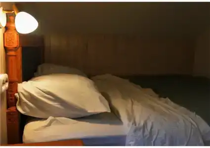 Пенеснарь - 65