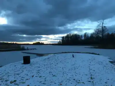 Родная Усадьба - 66