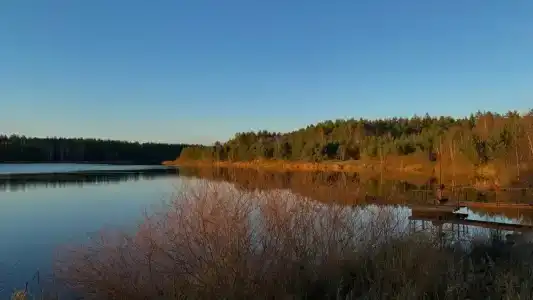 Четыре сезона - 30