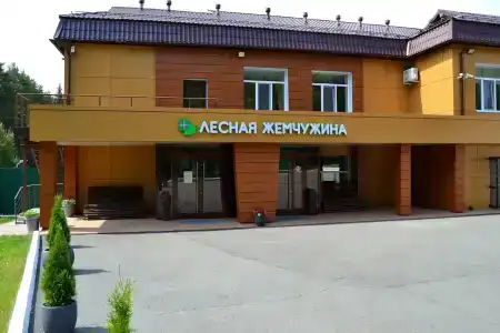 Лесная Жемчужина - 0