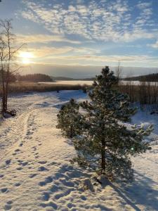 Дом на берегу Ладоги Tervunjoki - 21