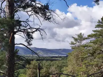 Радуга - 89