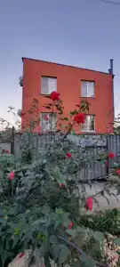 Инжир - 5