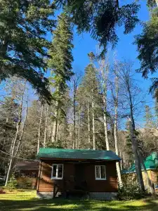 Лесной дом - 41