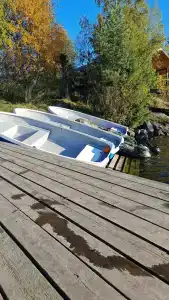 Зайкина дача - 61