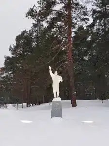 Звёздный - 39