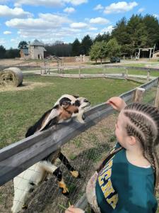 Усадьба Долгорукий - 83