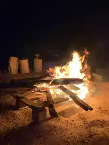 Степняк - 51