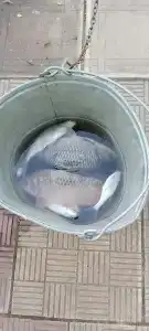 Квант - 40