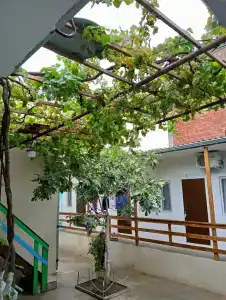 у Гаджиомара - 1