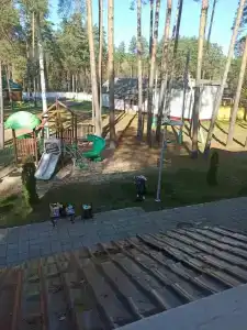 Синезерки - 11