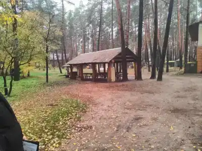 Лесная7 - 11