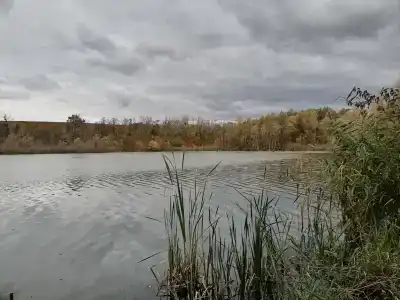 Семеновский пруд - 38