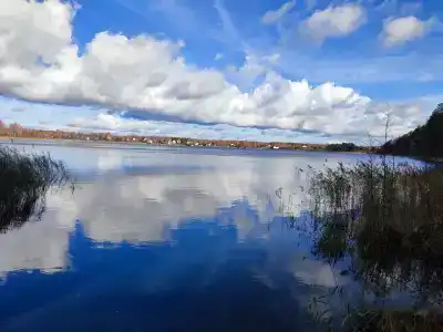 Прудки - 16