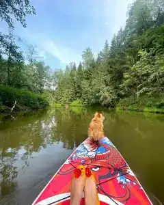 Место силы - 49