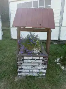 Бояринцево - 89