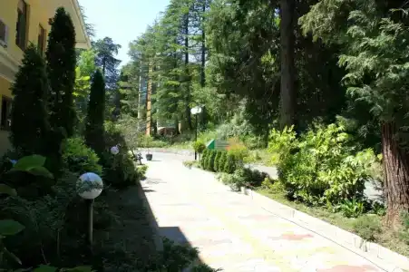 Рест-Мацеста - 30