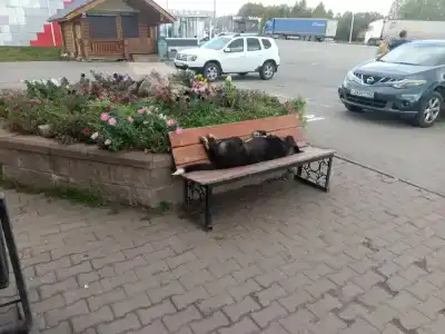 Инзер - 9