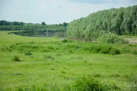 Садху - 11