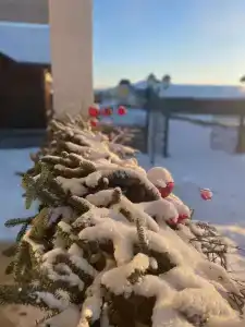 Суворова 26 - 57