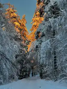 Шанти озеро - 15