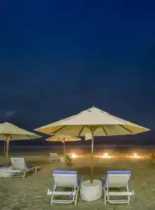 The Lucky Elephant - 4