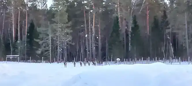 Заимка Отдых Пантовые ванны - 26