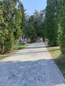 Центральный Детский санаторий - 68