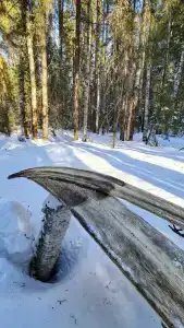 Кокуй - 24