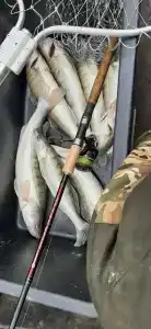 На крючке - 30