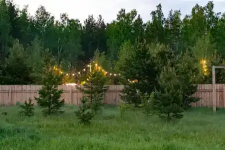 База отдыха на опушке - 5