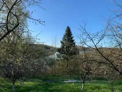 Хутор Верхутино - 5