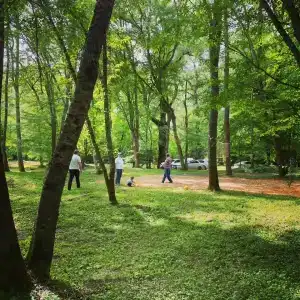 Сытый Кот - 8