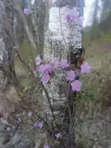 Тавдинские пещеры - 28