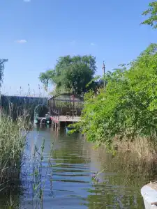 Prosto Квашино - 24