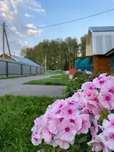 Большая Медведица - 1