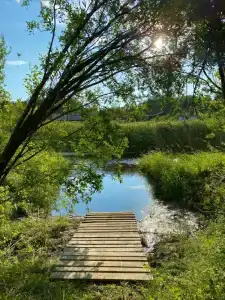 Дом на берегу Ладоги Tervunjoki - 8