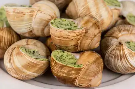 Анна Крым - 12