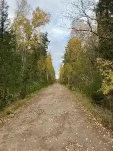 Сосновый берег - 58