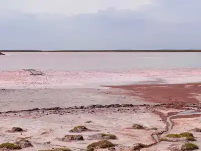 Степняк - 52