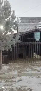 Дом бобра - 15